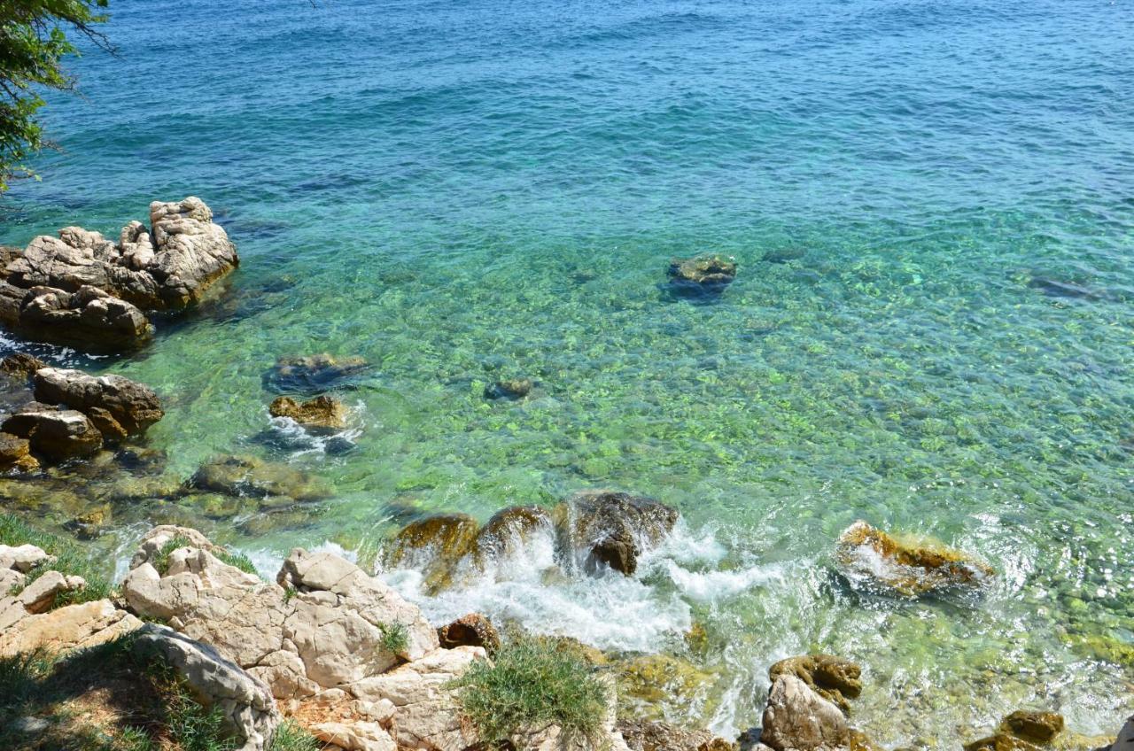 Vila Sofia نوفي فينودولسكي المظهر الخارجي الصورة